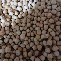 نخود|خوردنی و آشامیدنی|سجاس رود, |دیوار