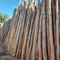 خریدارچوب