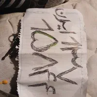 گم کردن پلاک