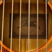 گیتار نیمه حرفه ای|گیتار، بیس، امپلیفایر|کرج, عظیمیه|دیوار