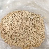 شالی دمسیاه