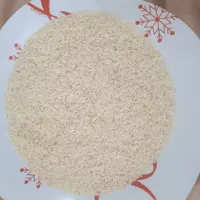 هاشمی دانه بلند|خوردنی و آشامیدنی|رشت, آب و برق|دیوار