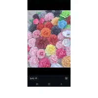 گل‌های کاغذی