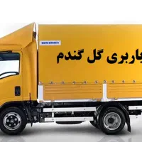 باربری گل گندم با پایین ترین قیمت