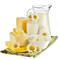 ماست، شیر گاو و گوسفند
