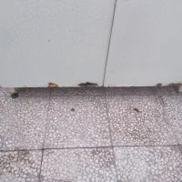 کابینت اب چکان