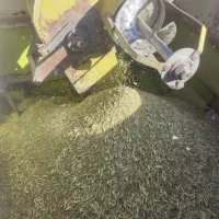 علوفه خارشتر خالص هسته خرما عناب کشمش انگور|خدمات باغبانی و درختکاری|شیراز, بازار|دیوار