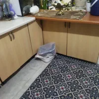 تنظیم کننده