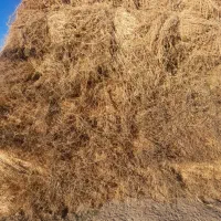 یونجه|عمده‌فروشی|مرادلو, |دیوار