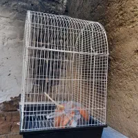 قفس کلبه ای