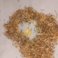 مهره تضمینی