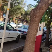 اجاره مغازه رو به روی ساختمان زیتون بناب|اجارهٔ مغازه و غرفه|بناب, |دیوار