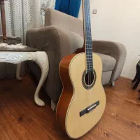 گیتار grape e310