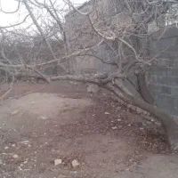 زمین ویلایی