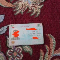 این کارت ملی را گم کردم