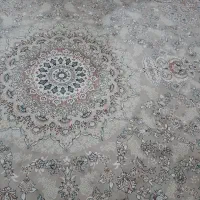 فروش یه جفت قالی|فرش|قوچان, |دیوار