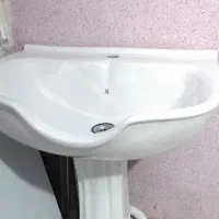 سرشور ایستاده