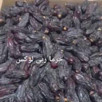 انواع خرما