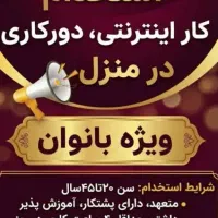 توی خونه درآمد داشته باش
