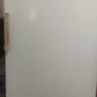 فریرز  زیکنس