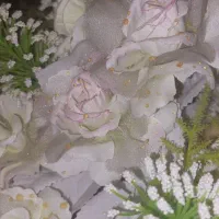 پرستاری از سالمند