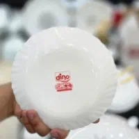 آرکوپال دینو|ظروف سرو و پذیرایی|پاکدشت, پاکدشت (مامازند)|دیوار