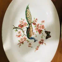 دو عد دیس قدیمی قدمت ۱۰۰سال|کلکسیون اشیاء عتیقه|تهران, باغ خزانه|دیوار