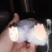 لبوبو انرژی