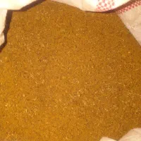 بذریونجه پایه بلندپربرگ همدانی