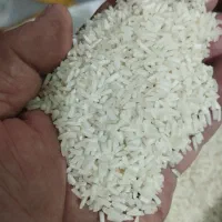 برنج ایرانی طارم با عطر عالی شارژشد1850