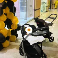 کالسکه و کریر گراکو آمریکایی در حد نو|کالسکه و لوازم جانبی|کیش, |دیوار