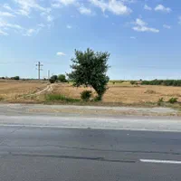 زمین بامجوز گلخانه اتوبان سندتک برگ|فروش زمین و ملک کلنگی|گرگان, |دیوار