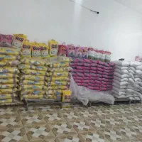 عرضه انواع برنج ایرانی پاکستانی و تایلندی گریدA وB|خوردنی و آشامیدنی|نورآباد, |دیوار