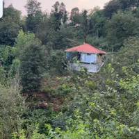 فروش ویلای جنگلی۱۰۰۰متر در طبیعت بکر