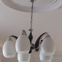۲ عدد لوستر ۵ شاخه