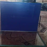 آکواریوم شیشه خم شرکتی سالم با تجهیزات کامل
