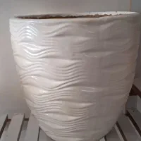 استند و گل طبیعی|گل و گیاه طبیعی|بیرجند, |دیوار