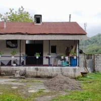 خانه ویلایی به همراه محوطه