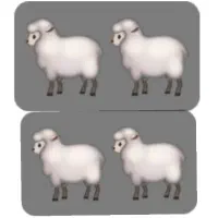 میش