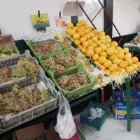 مغازه فعال  میوه  با سابقه کاری|اجارهٔ مغازه و غرفه|ری, جوانمرد قصاب|دیوار