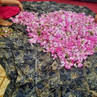 غنچه|گل و گیاه طبیعی|چترود, |دیوار