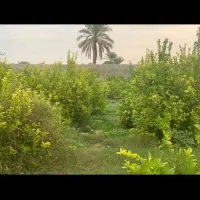 باغشهری  ۷۰۰ متری سند ثبت|فروش زمین و ملک کلنگی|آبپخش, |دیوار