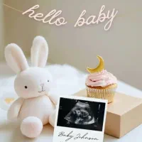 یک پوشه سنوگرافی وآزمایش