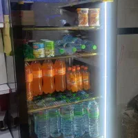 یخچال فروشگاهی تک درب