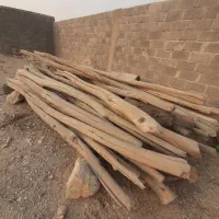 چوب گز