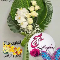 نیازمند خدمتکار  روزی دوساعت برای آشپزی ناهار ۵نفر