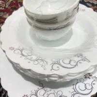 آیروپال نو داخل کارتن|ظروف سرو و پذیرایی|اصفهان, آفاران|دیوار