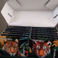 پالت سایه چشم