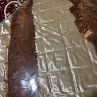 روتختی دونفره کرم قهوهای|سرویس روتختی|میاندوآب, |دیوار