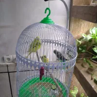 قفس پایه دار